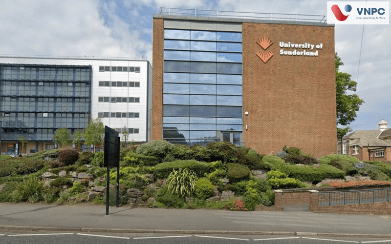 Khám phá University of Sunderland: Học phí, King88 ưu đãi hấp dẫn mỗi ngày và cơ hội việc làm